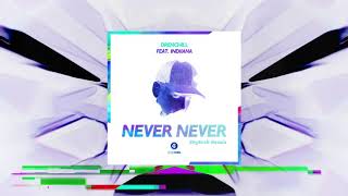 Drenchill (feat. Indiiana) - Never Never (Skytech Remix) Resimi
