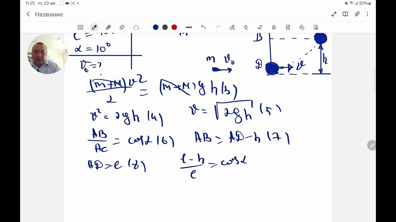 Дені сау қаралар семіз адамдарды сиқырлайды