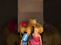 Caring for Barbie's Horse!