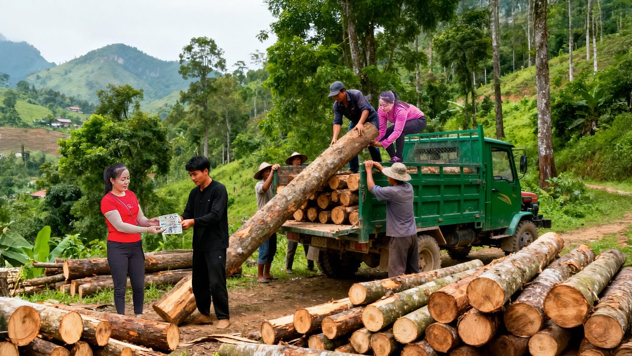 Logs Rice Traders Epic Timber Transport – 500+ Giant Logs from Hill Villagers to Traders ...