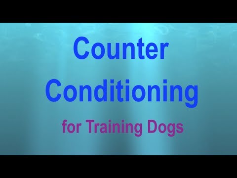 Counter Conditioning: a Visual Explanation