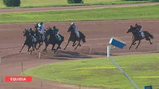 Vidéo de la course PMU PRIX DU PONT DE L'ARCHEVECHE