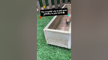 Build This Beautiful Window Box in 30 Minutes EASY DIY!