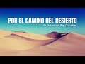 Por el camino del desierto  pr sebastin rey gonzlez