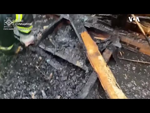 乌克兰消防员从废墟中救出5只刚出生的狗狗