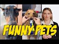 Funny Video Collection Volume 7