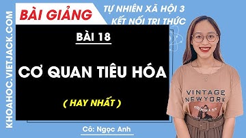 Tự nhiên xã hội lớp 3 - Kết nối tri thức | Bài 18: Cơ quan tiêu hóa - trang 74, 75, 76, 77 - Cô Anh
