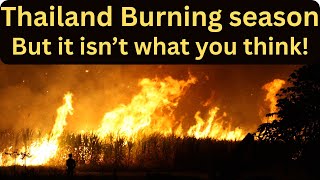 Thats A Big Hole They Are Digging, Thailand Burning Season Starts But Not How You Think