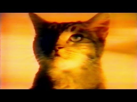 meow mix commercial 1980