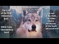Tales of the Far North by Jack London - Audiobook