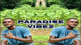 CINAVI AU_FIRSTKLAZ_DJ NEBZ_PARADISE VIBEZ