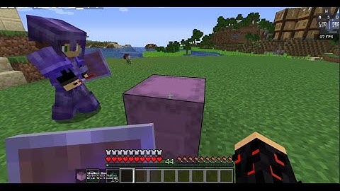 EPIC SHULKER BOX GLITCH (1.16.5)