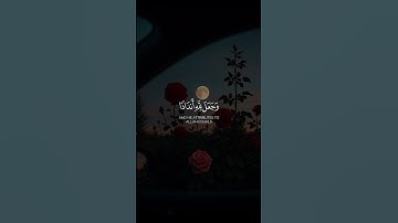 سورة الزمر الآية (٨)