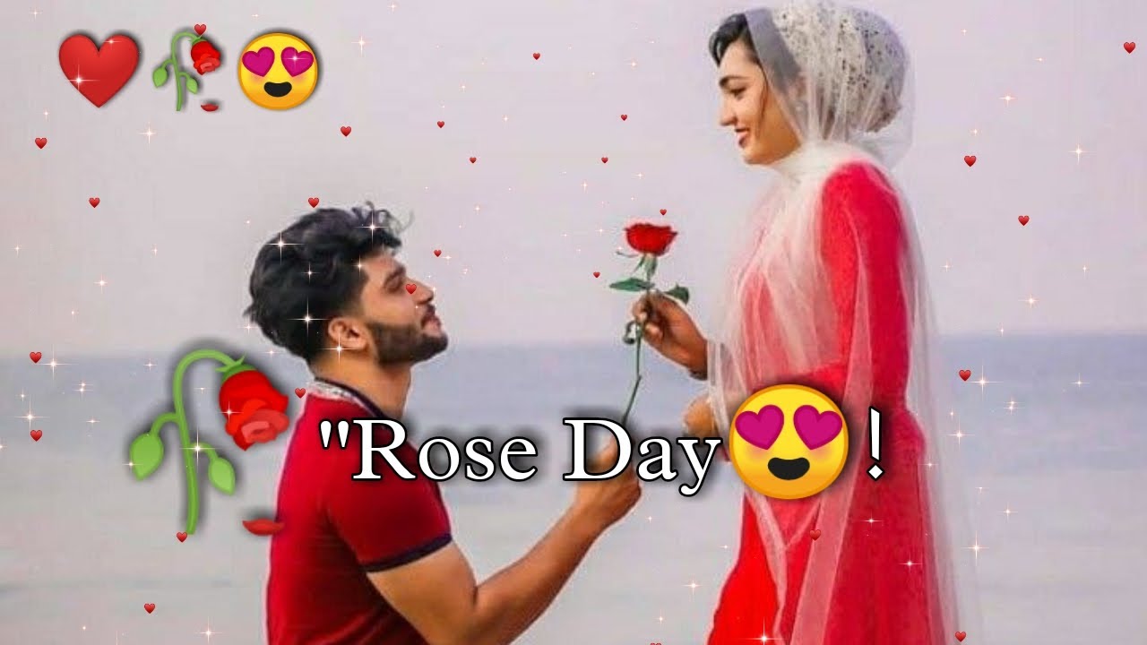 😘 Rose day video 2022 ❤️ Happy Rose day🌹 7 Feb Rose day status🥀 Rose day shayari 