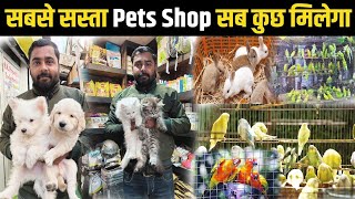 Patna का सबसे सस्ता Pets Shop | Dog | Cats|Birds | Accessories सब कुछ मिलेगा |  3 Ghumakkar