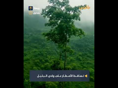 تساقط الأمطار في وادي البلبل بريمة... منظر طبيعي خلاب