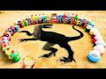 How to Make a Giant Dinosaur Pit with Cement, Big Coca-Cola, Mtn Dew, Fanta vs Mentos and Soda