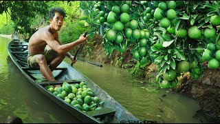 Rowing in the creek Meet Rich Fruits