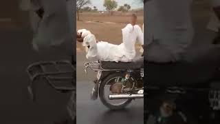 chacha biker😂😂 chacha bike ryder🤣🤣