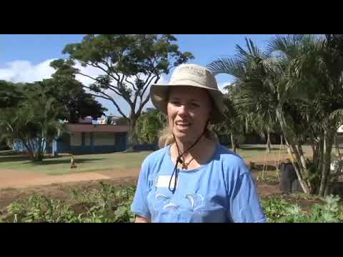 Growing Our Future - The 2010 Update on the Kihei Elementary School Garden