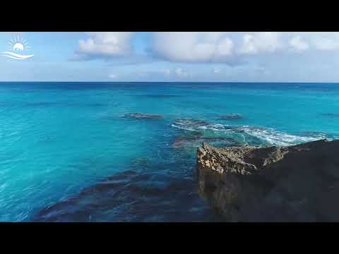 Avicii Dua Lipa Coldplay Martin Garrix Kygo The Chainsmokers Style Summer Vibes 194