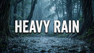 30 Minutes of Pure Rain Bliss for Deep Rest
