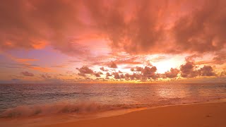 🏝 Turquoise Ocean off Seychelles Island. Ocean waves 4K Ultra HD Net Worth