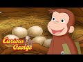 Who S Egg Is This Full Episodes Curious George 