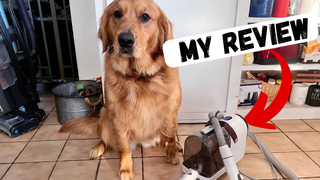 Bunfly Pet Clipper Grooming Kit & Vacuum - YouTube