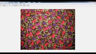 How to implement Color Segmentation|+91-8283824812 for query| by Delta E-color |