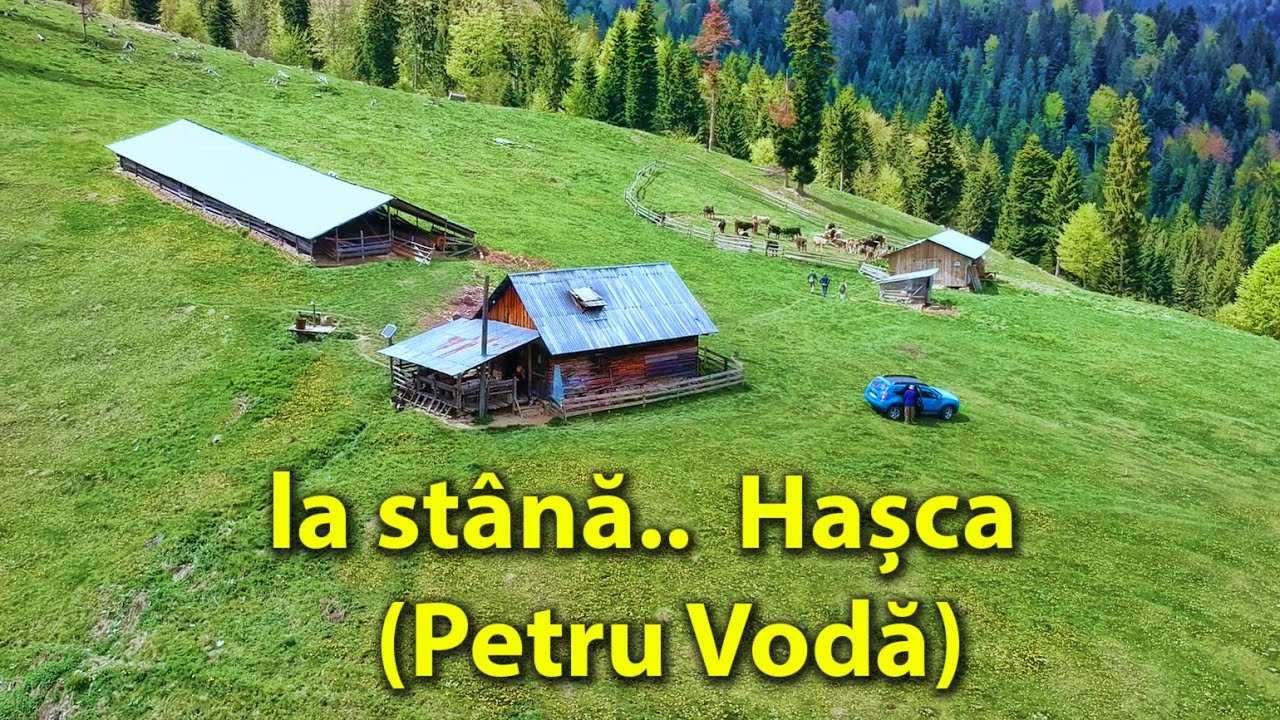pe plaiuri mioritice la stana de la Hasca, Petru Voda