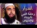 أسراربيت النبوة رحمة النبي صلى الله عليه وسلم بالجماد والحيوان