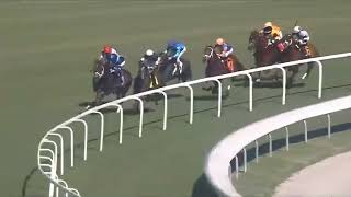GULFSTREAM PARK - RACE 1 - 24 DEC 2025