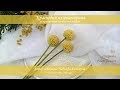 Краспедия из фоамирана мастер-класс / Craspedia | foam flowers | DIY
