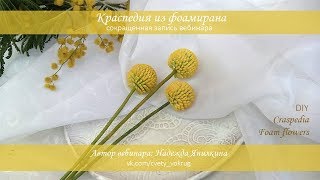 Краспедия из фоамирана мастер-класс / Craspedia | foam flowers | DIY