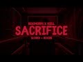 Sacrifice Riell X Besomorph Slowed Reverb
