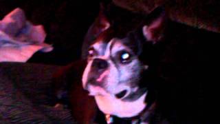 December 11, 2011 736 Pm