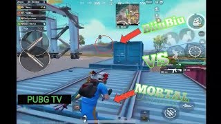 Biubiu Vs Mortal Mortal Vs Biubiu Pubg Live Hd Highlights Who Will Win