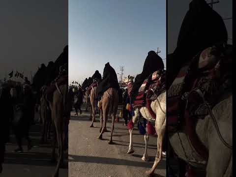 نايحه جيتك نايحه محمد باقر الخاقاني 