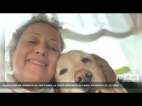 «QUALCUNO HA SPARATO AL MIO CANE» LA VIDEO DENUNCIA DI CAROLYN SMITH | 27/12/2021