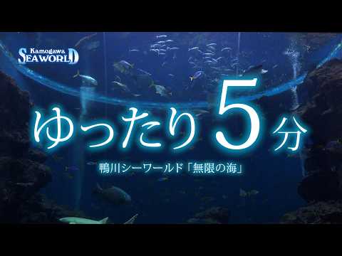 YouTube 動画のサムネイル