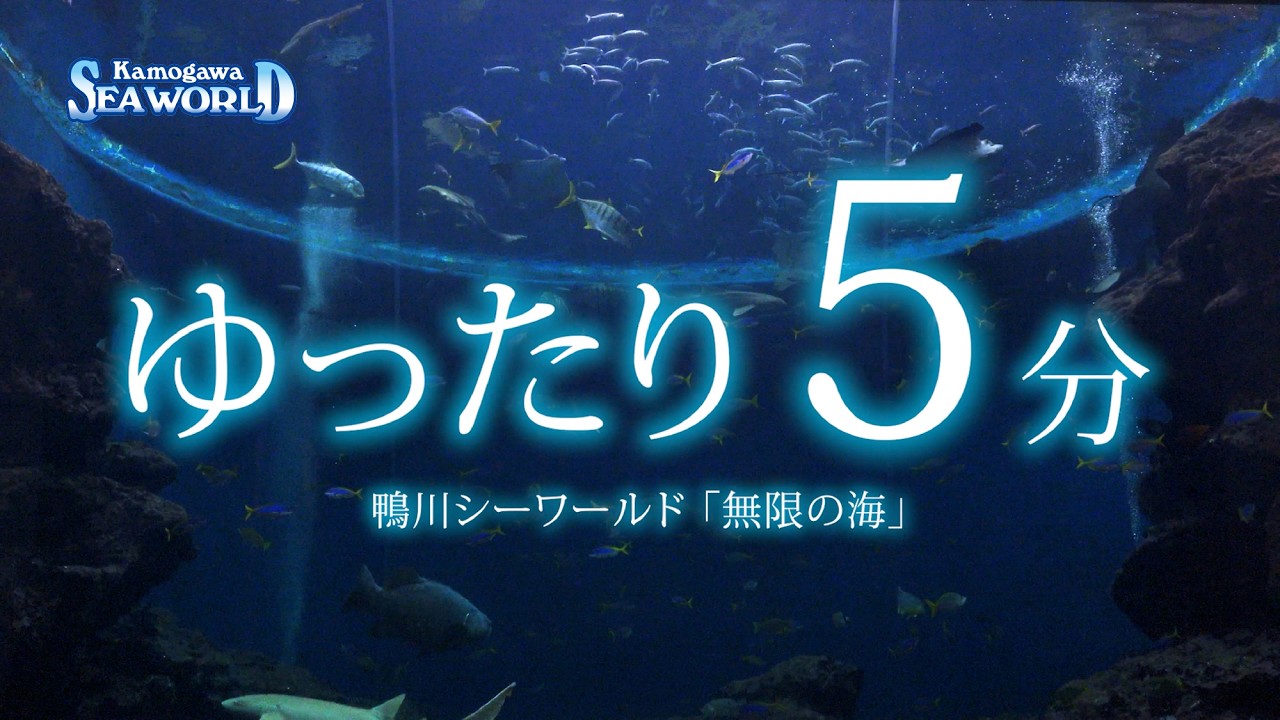 【鴨川シーワールド】ゆったり「無限の海」5分