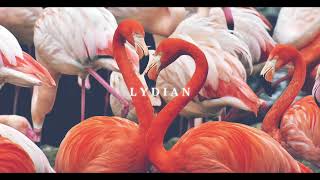B Lydian Backing Track (Ballad)