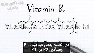 بدون فيتامينK2 لن تستفيد من فيتامين د سأخبركم عن افضل طعام يحوي K2