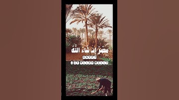 وقَال ادخلوا مصر إِن شَاء اللَّهُ آمِنِينَ سورة : يوسف - Yusuf  - الجزء : ( 13 ) عبدالباسط عبدالصمد