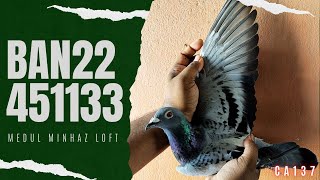 🇧🇩 BAN22-451133 H✨Exclusive✨Winner 8th Bogra 1399 /P✨ORIGINAL MEDUL MINHAZ LOFT✨