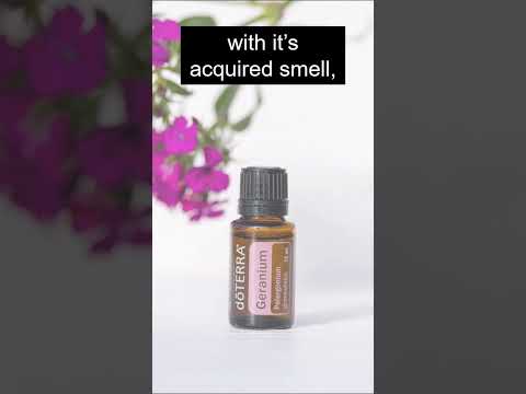 Geranium essential oil