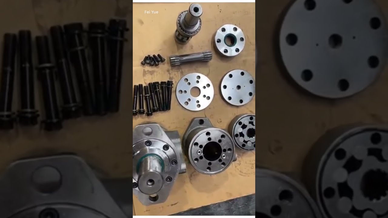 Hydrolic Motor OMR Series Motor Low Speed High Torque  For Danfoss