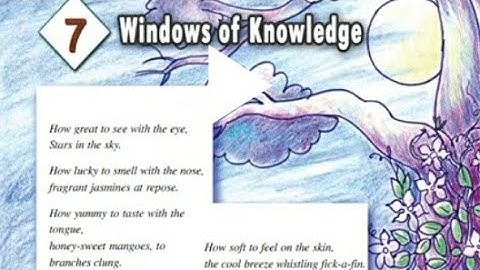 Scert Class 5 Basic Science Chapter 7 (Eng Medium)Windows Of Knowledge #scert#class5science#chapter7