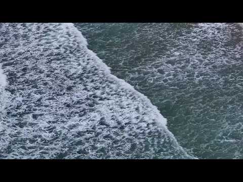 Europe's sea temperatures soar, threatening fisheries